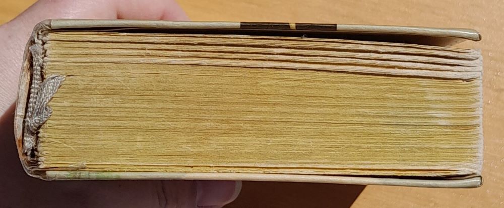 Listnáče lesú a parkú