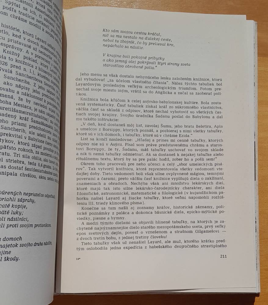 Bohovia, hroby, učenci / Román o archeológii