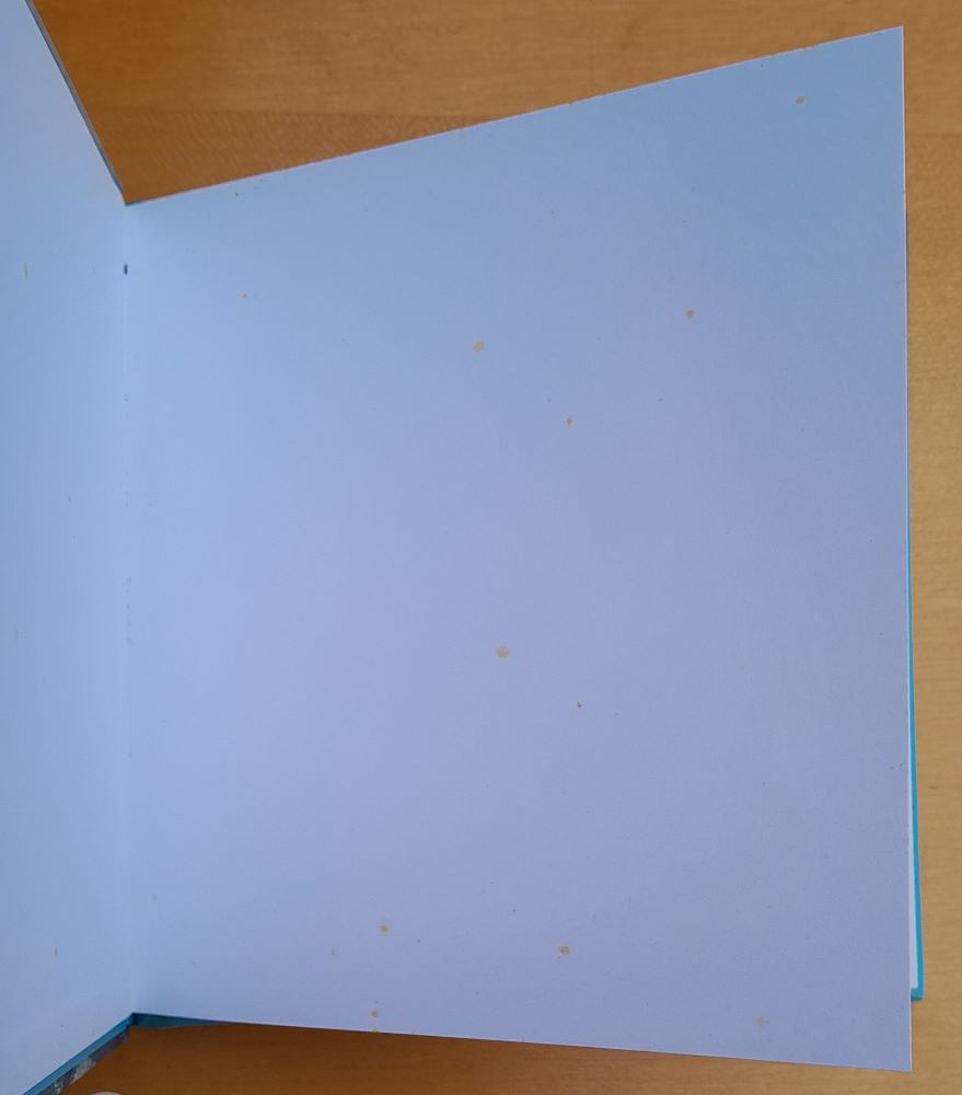 The Little Book of Flight / Malá kniha o lietaní