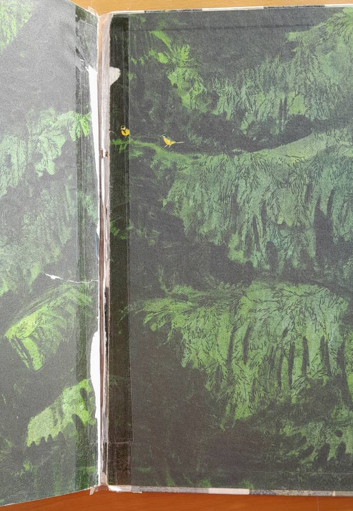 Rok v lese / I. Sokolov-Mikitov