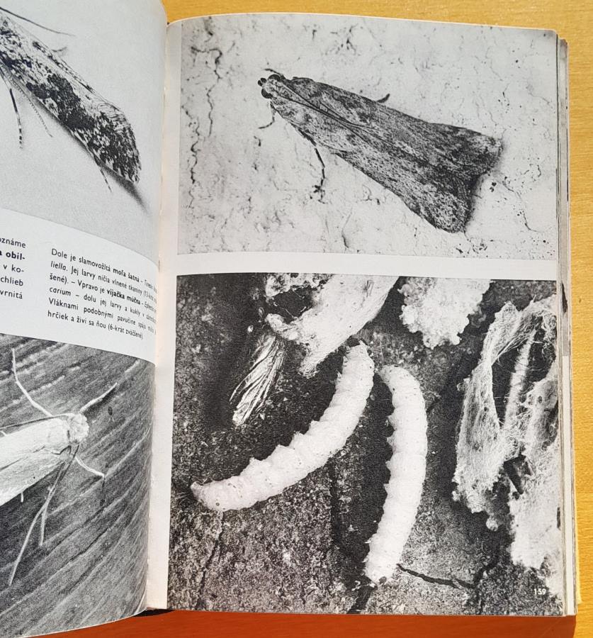 Veľký obrazový atlas zvierat - bohato ilustrovaná