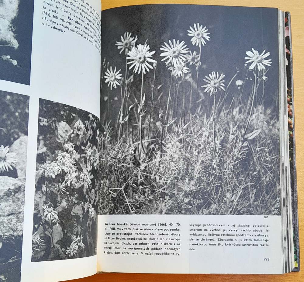 Veľký obrazový atlas rastlín