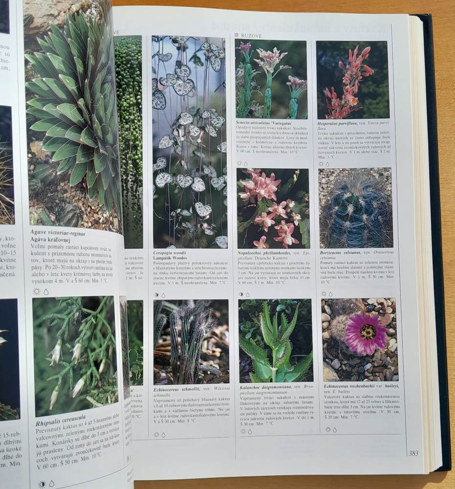 Veľká encyklopédia kvetov a okrasných rastlín