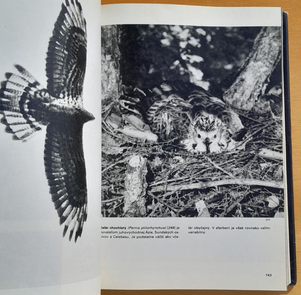 Veľký obrazový atlas vtákov