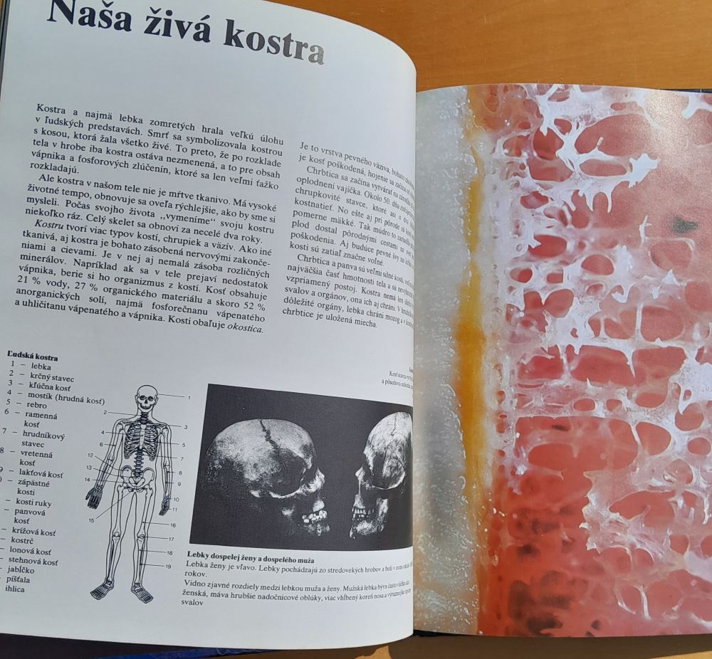 Ako sa nepoznáme / Objavná cesta s fotografickým aparátom do nášho tela