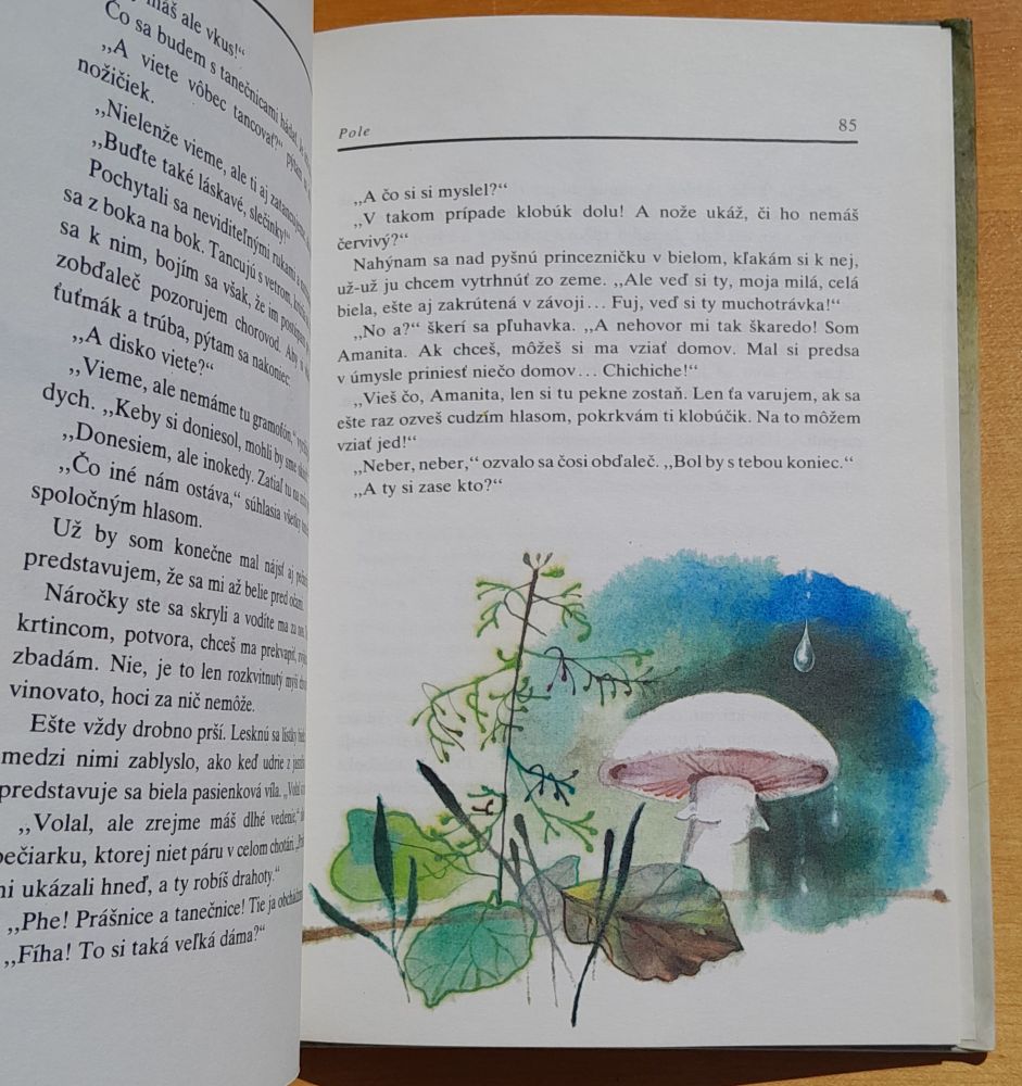 Cesta za slnkom