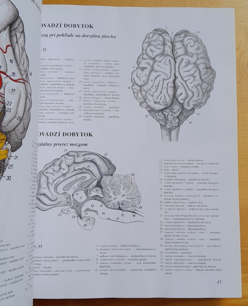 Atlas topografickej anatómie hospodárskych zvierat 1.- 3. diel / piate vydanie