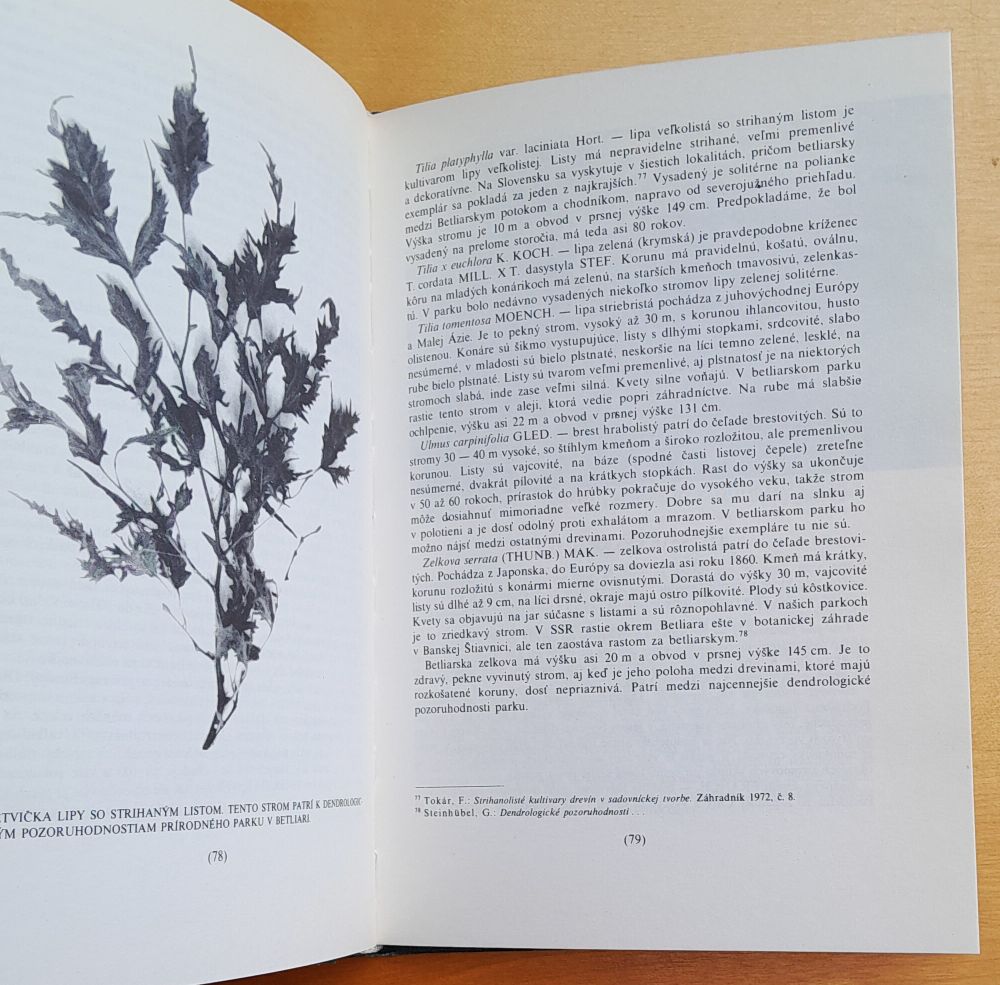 Prírodný park v Betliari