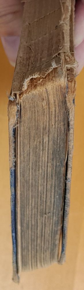 Do země pokladú / The trail to san triste