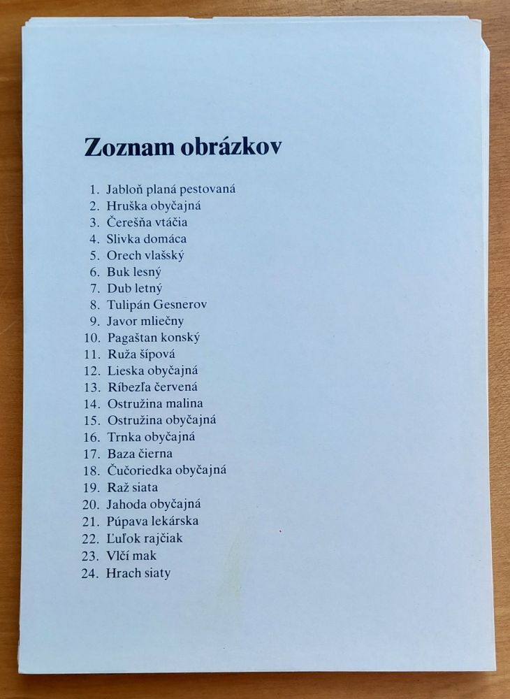 Manipulačný súbor plodov / 24 kariet / Metodická príručka pre učiteľov