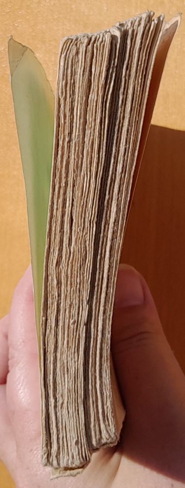 Obrození Římem 1. 2. / Dojmy konvertitovy z věčného města