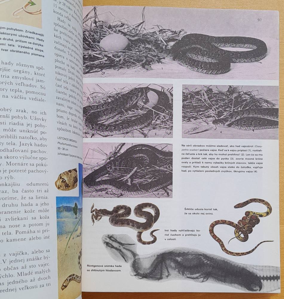 Svet živočíšnej ríše / Ilustrovaná encyklopédia