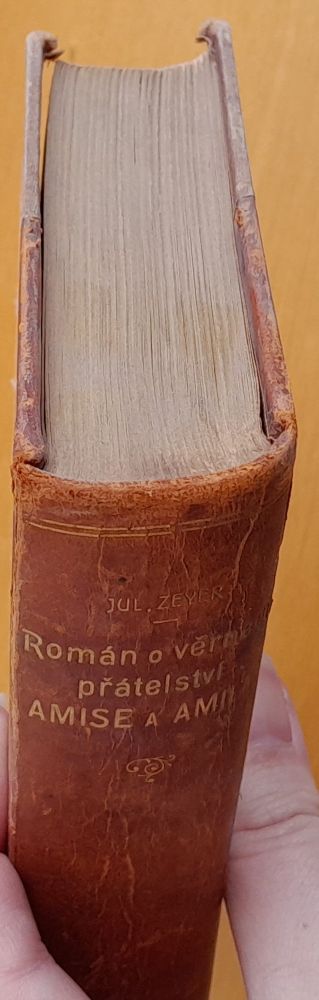 Román o věrném přátelství Amise a Amila