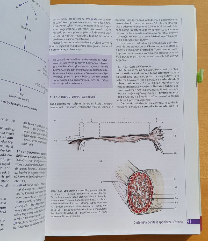 Princípy internej medicíny 1. 2. 3.