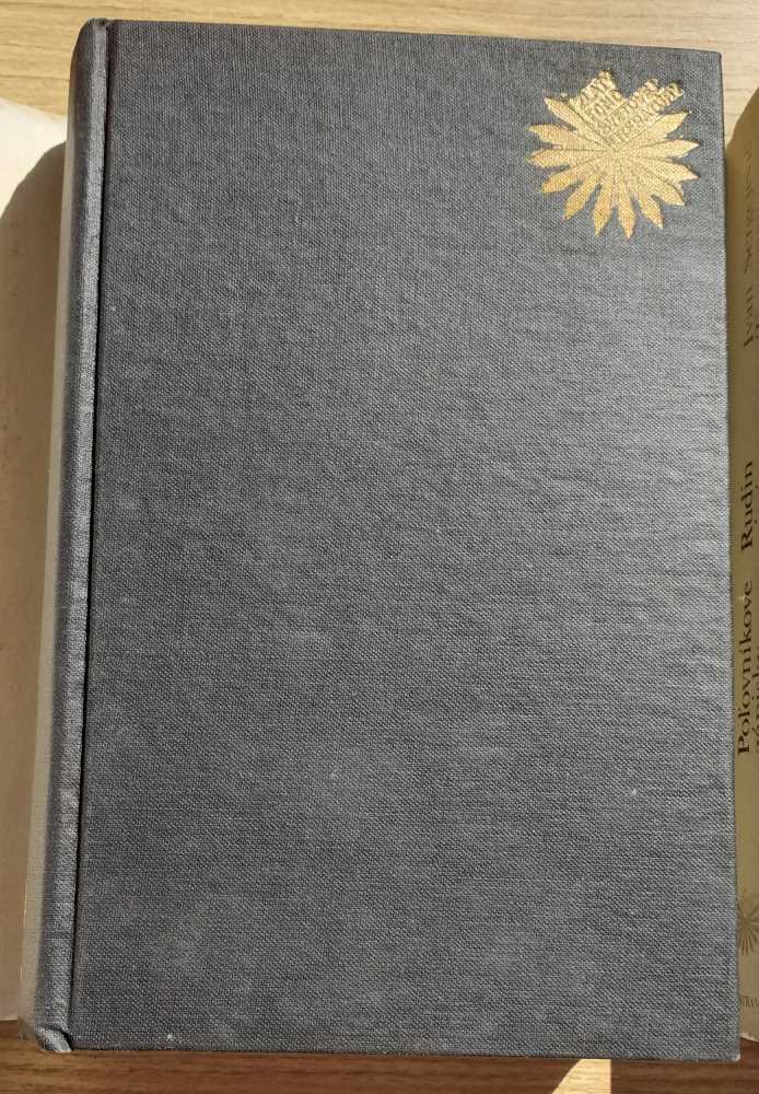 Poľovníkove zápisky, Rudin a iné / Otcovia a deti, Nešťastnica