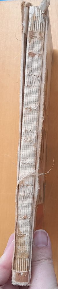 Danuška - Božena Mačingová