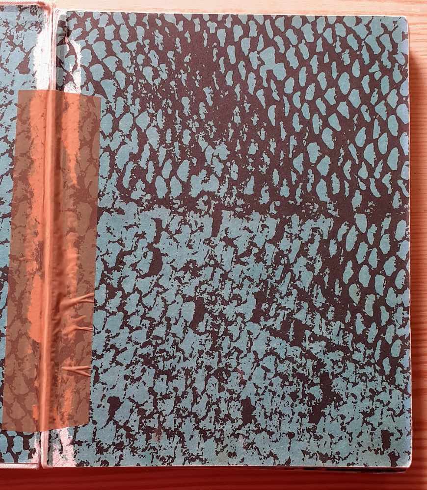 O rybách a rybároch