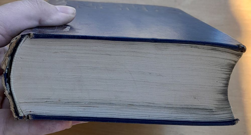 Leben Michelangelos / Vollständige ausgabe