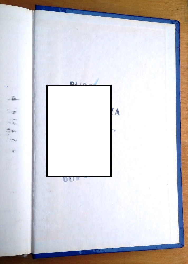 Falošný hráč / Frederick Forsyth