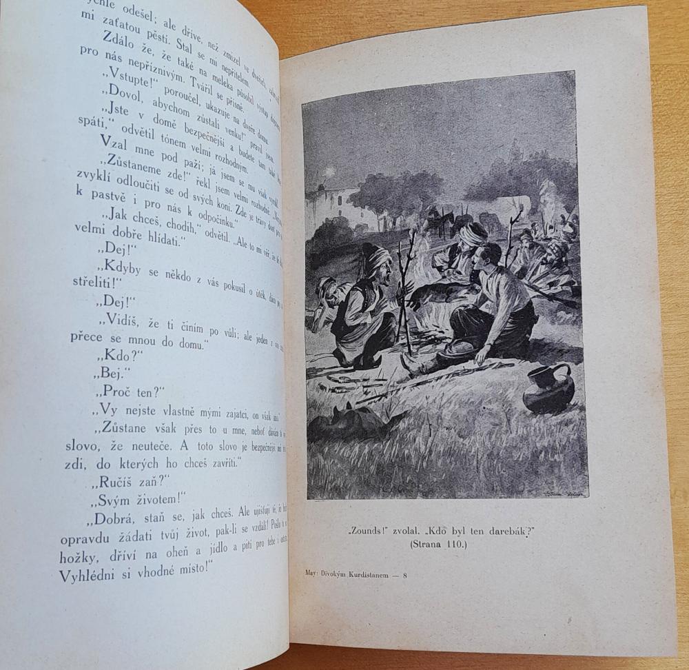 Divokým Kurdistanem / Román z cyklu Ve stínu padišaha