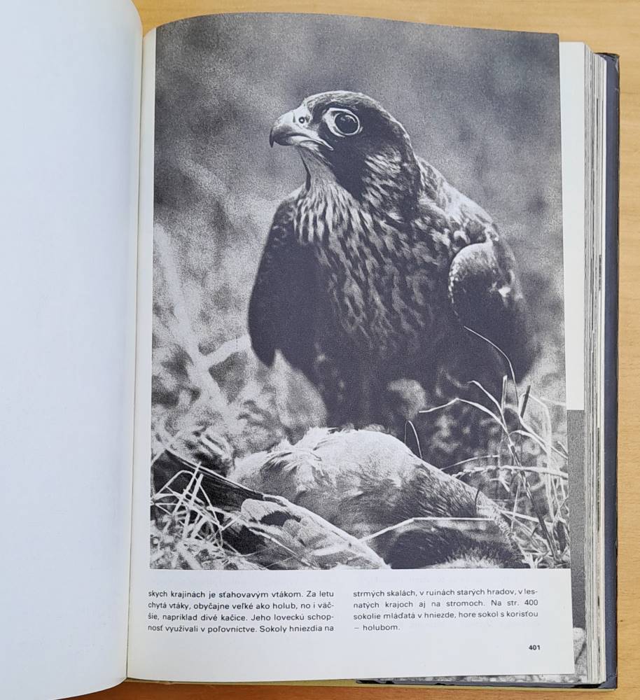 Veľký obrazový atlas zvierat - bohato ilustrovaná
