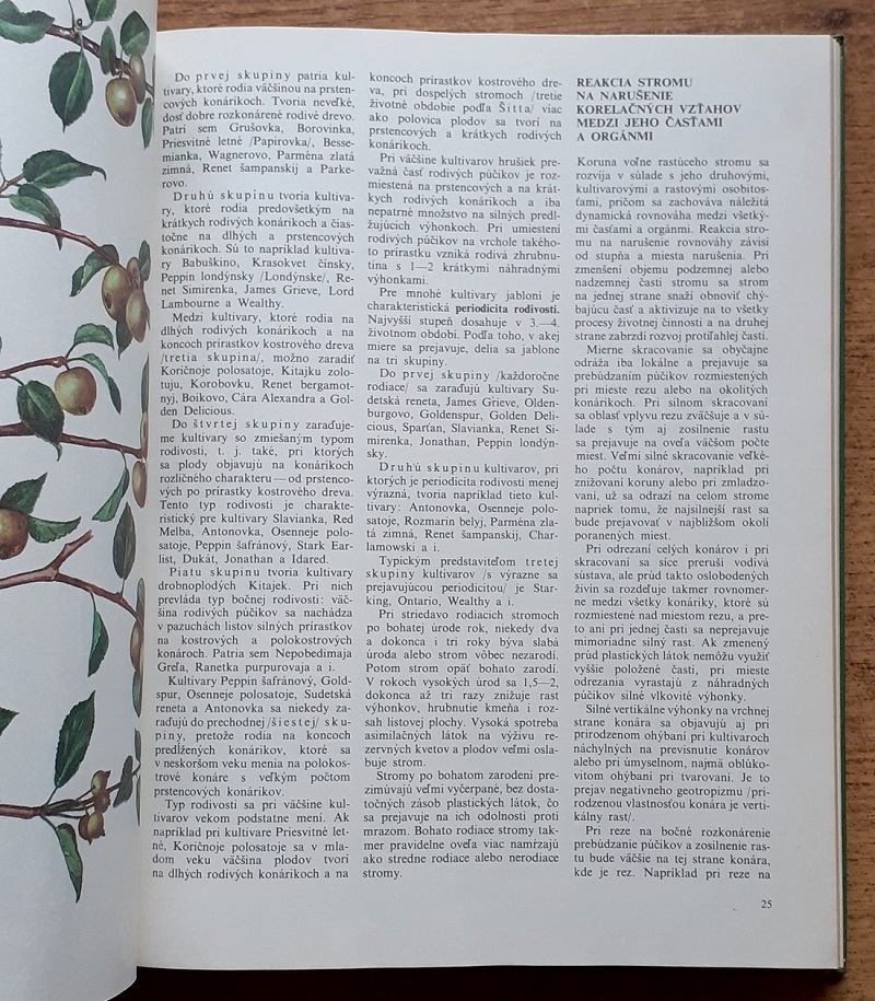 Řez ovocných dřevin