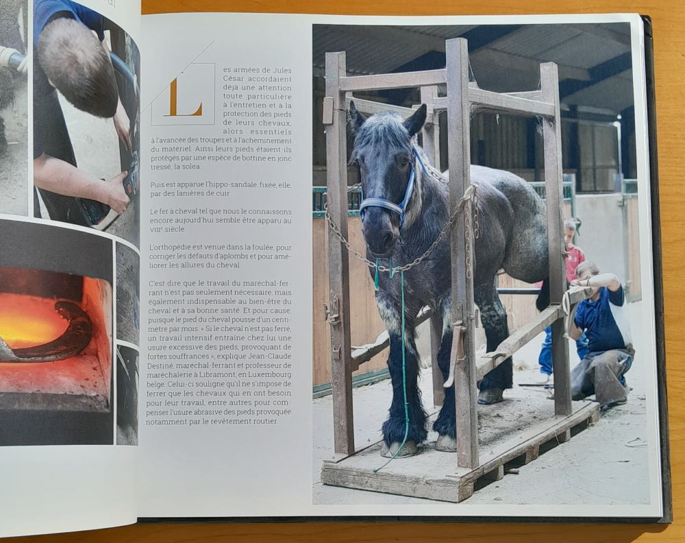 Cheval de travail Trait contemporain