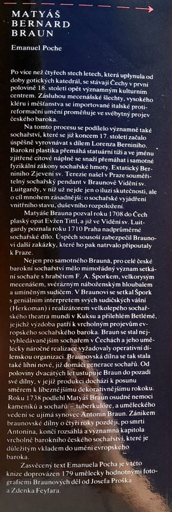 Matyáš Bernard Braun