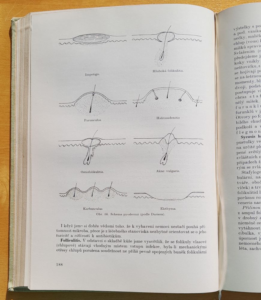 Praktická dermatologie