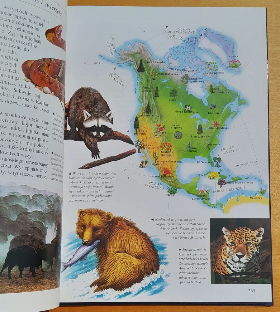 Encyklopedia georgafii / Kraje i ludzie