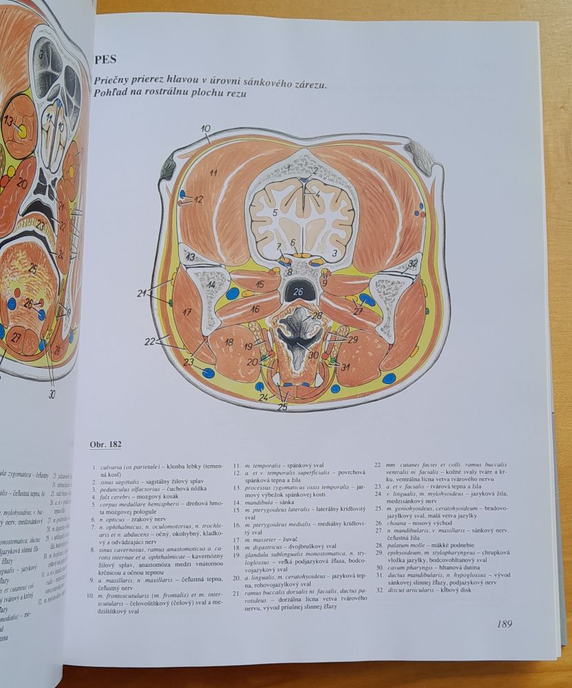 Atlas topografickej anatómie hospodárskych zvierat 1.- 3. diel / piate vydanie