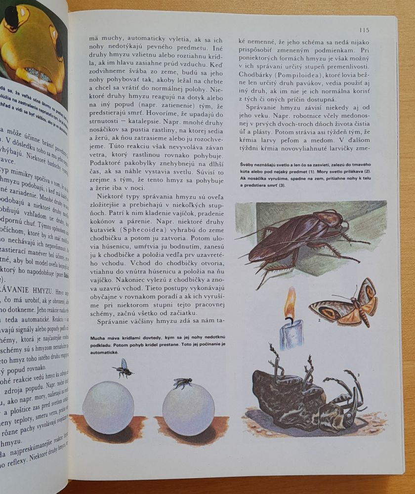 Svet živočíšnej ríše / Ilustrovaná encyklopédia