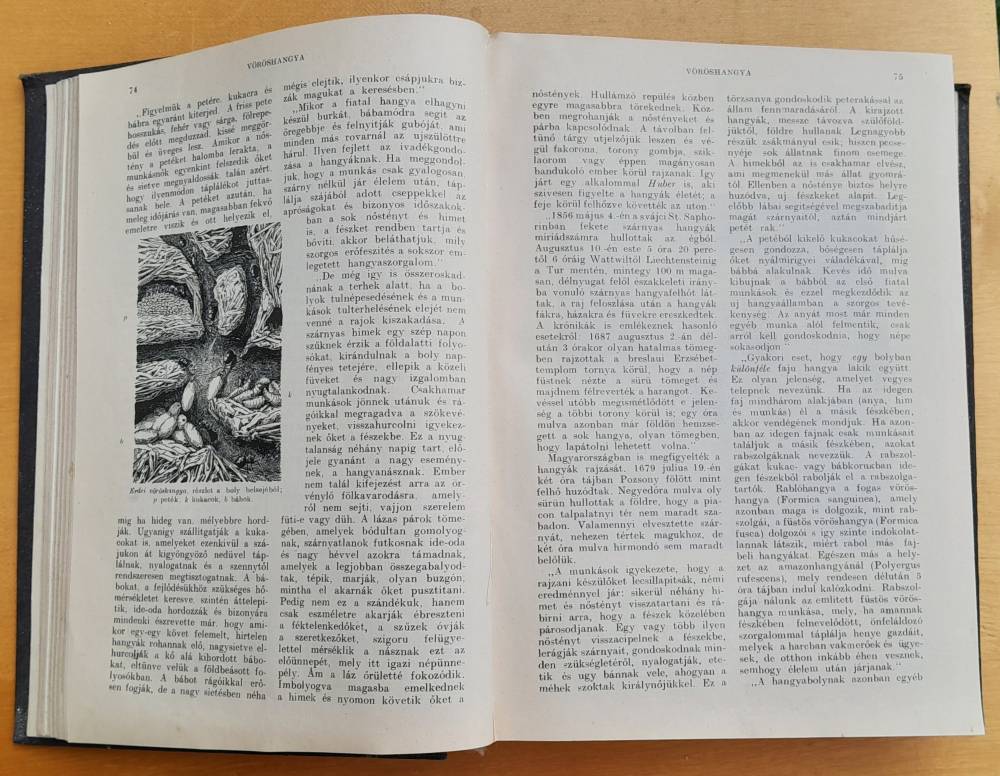 Az Állatok Világa / Život zvierat