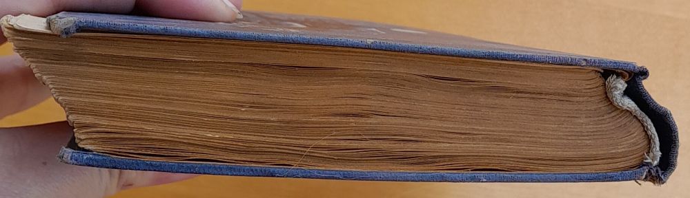 U ctitelú ďábla / Román z cyklu Ve stínu padišaha