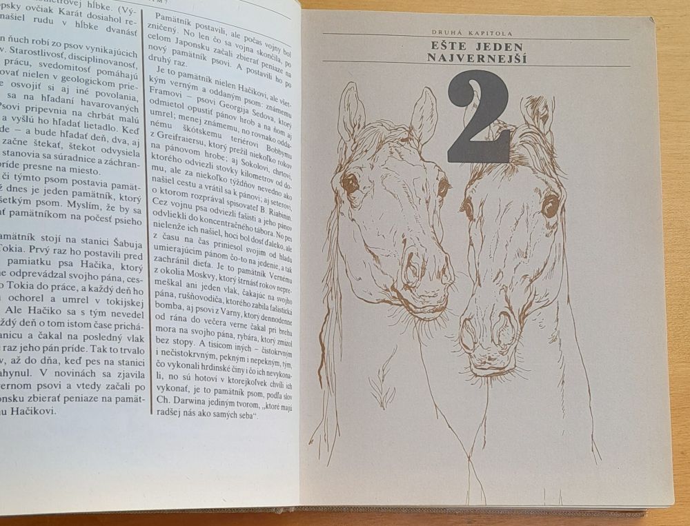 Zachránili husi Rím?