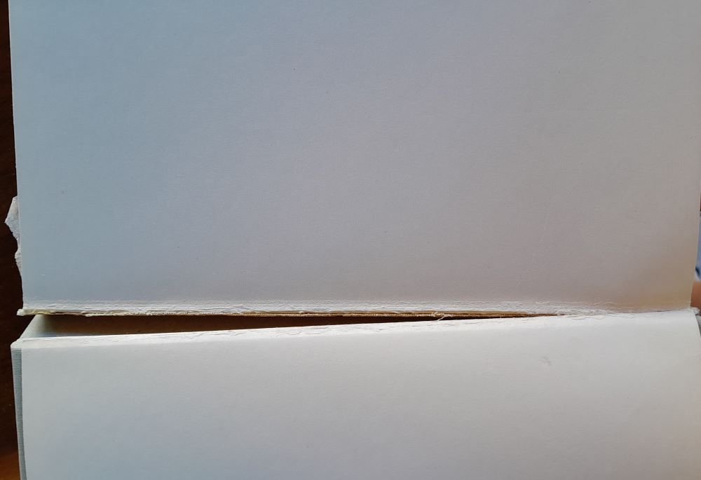 Slávnostné príležitosti / Rodina a spoločnosť