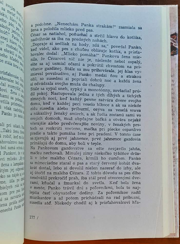 Nežné poviedky / Edícia Lipa / Skalni risunki / Nežnata spirala