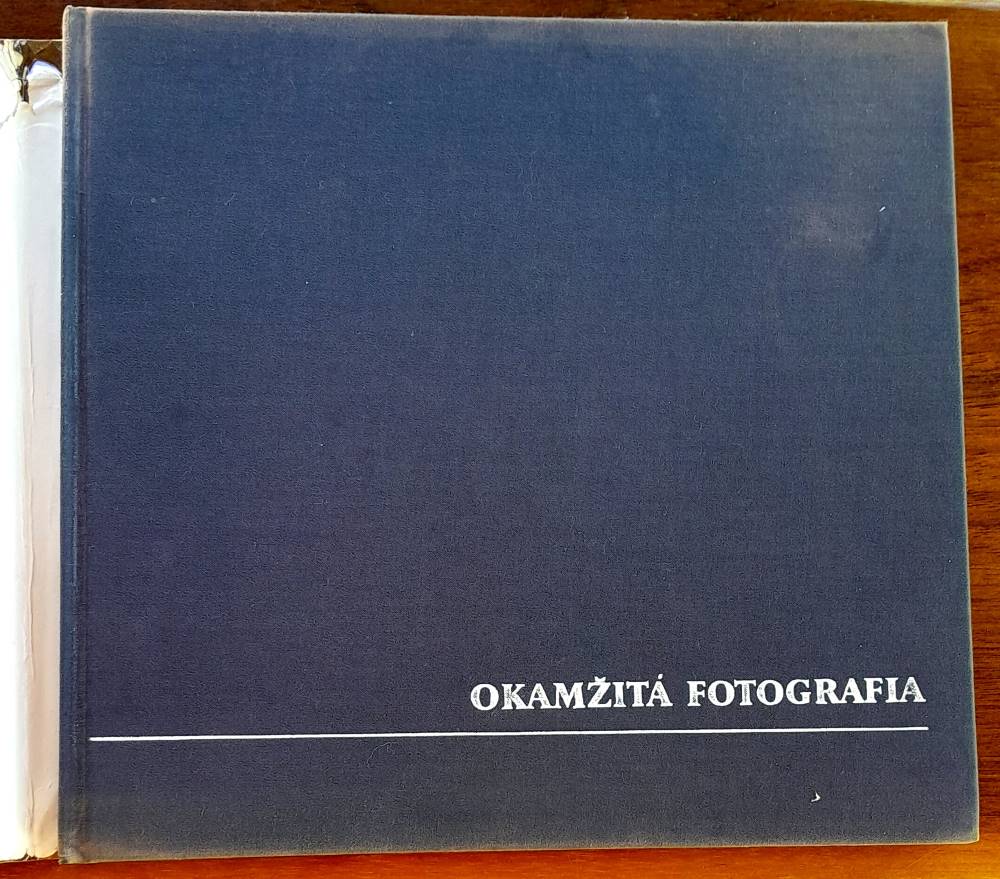 Okamžitá fotografia / súčasnosť - možnosti - perspektívy