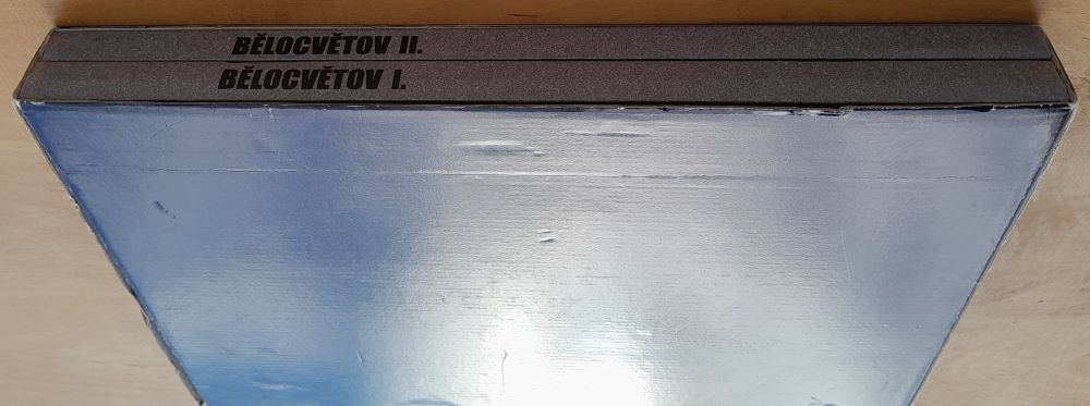 Andrej Bělocvětov 1923-1997 / 1. Obrazy / 2. Kresby