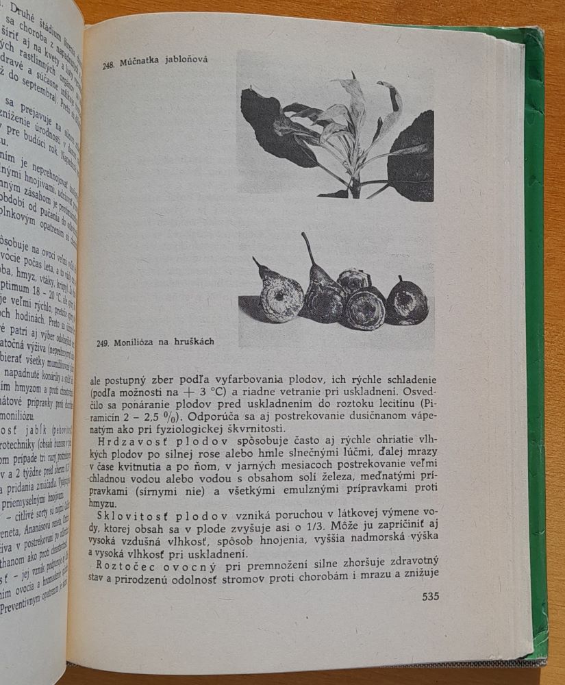 Radíme záhradkárom / Rastlinná výroba