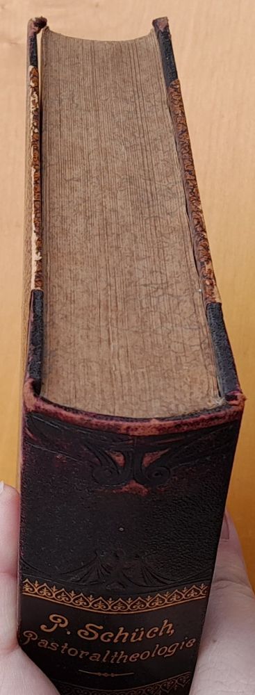 Pastoraltheologie (Pastorálna teológia)