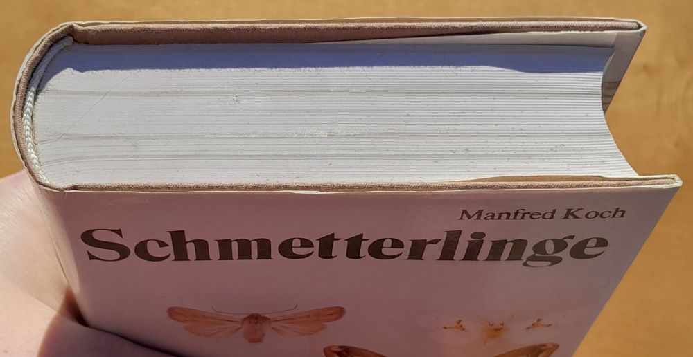 Schmetterlinge / Motýle