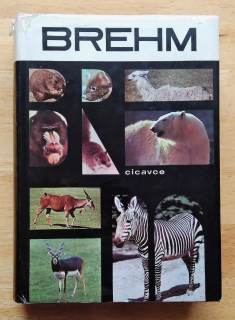 Život zvierat 4. Cicavce / Brehms Tierleben