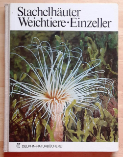 Stachelhäuter / Weichtiere - Einzeller