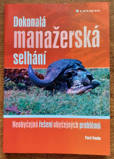 Dokonalá manažerská selhání / Neobyčejná řešení obyčejných problémú