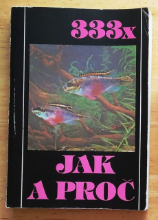 333x jak a proč 