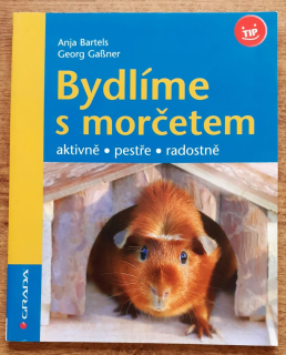 Bydlíme s morčetem