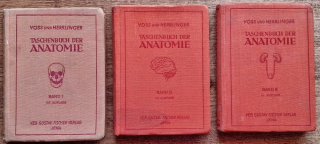 Voss und Herrlinger - Vrecková kniha anatómie 