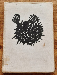 Kniha o kaktusoch / Moderné pestovanie a výber najkrajších kaktusov a ostatných sukulentov