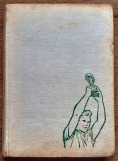 Chile 1962 / Triumf československého futbalu